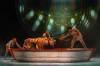 Nanc Price photo
                                Playing opposite Davinder Malhi (right) as Pi, the Bengal &mdash; animated here by Braydon Dowler-Coltman (under puppet) and Troy Feldman (with Kevin Klassen, far left) &mdash; was the true star in Life of Pi.