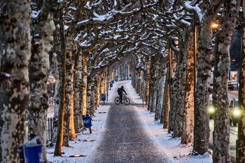 A man rides a bike in an alley in Frankfurt, Germany, Wednesday, Jan. 7, 2026. (AP Photo/Michael Probst)