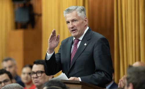 Liberal MP for Carleton Bruce Fanjoy rises in the House of Commons, Wednesday, May 28, 2025 in Ottawa. THE CANADIAN PRESS/Adrian Wyld
