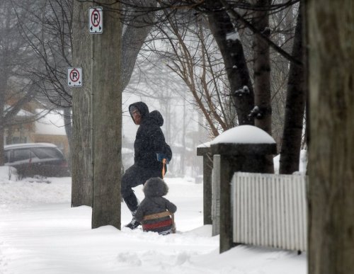 A resident takes advantage of a lull to take their child for a sleigh ride in St. John's on Friday, March 8, 2024. THE CANADIAN PRESS/Paul Daly