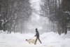 A person walks their dog as snow falls in Ottawa, on Sunday, Feb. 16, 2025. THE CANADIAN PRESS/Justin Tang