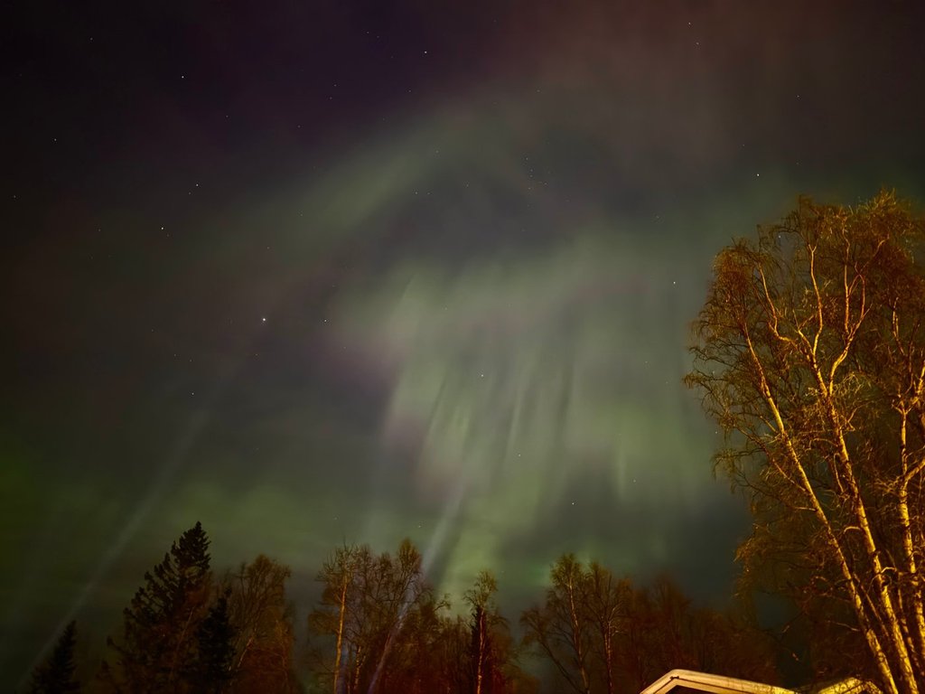 Aurora lights up Alaska skies with stunning green and red display