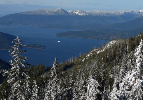 A ferry is seen making its way into Horseshoe Bay as seen from Cypress Mountain in North Vancouver. Friday, Dec. 1, 2010. THE CANADIAN PRESS/Jonathan Hayward