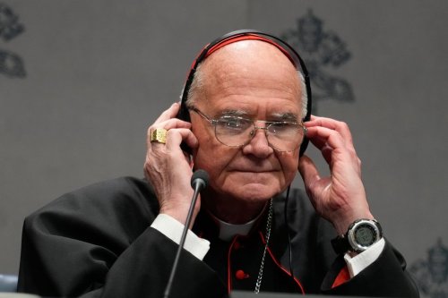 Cardinal Stefen Brislin attends at a press conference at the end of Pope Leo XIV's first Extraordinary Consistory, a special formal assembly convening the College of Cardinals from around the world, at the Vatican, Thursday, Jan. 8, 2026. (AP Photo/Gregorio Borgia)