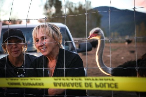 Karen Espersen, centre, the co-owner of Universal Ostrich Farms, speaks with supporters with her daughter, Katie Pasitney, at the farm in Edgewood, B.C., on Monday, Sept. 22, 2025. THE CANADIAN PRESS/Aaron Hemens