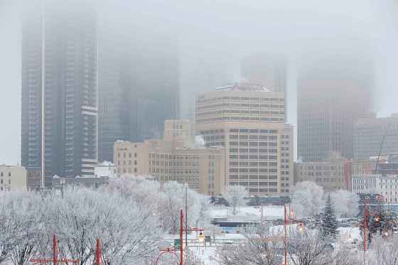 Hoarfrost covered trees at The Forks Monday morning as low clouds draped over Winnipeg’s downtown. (Mike Deal / Free Press)