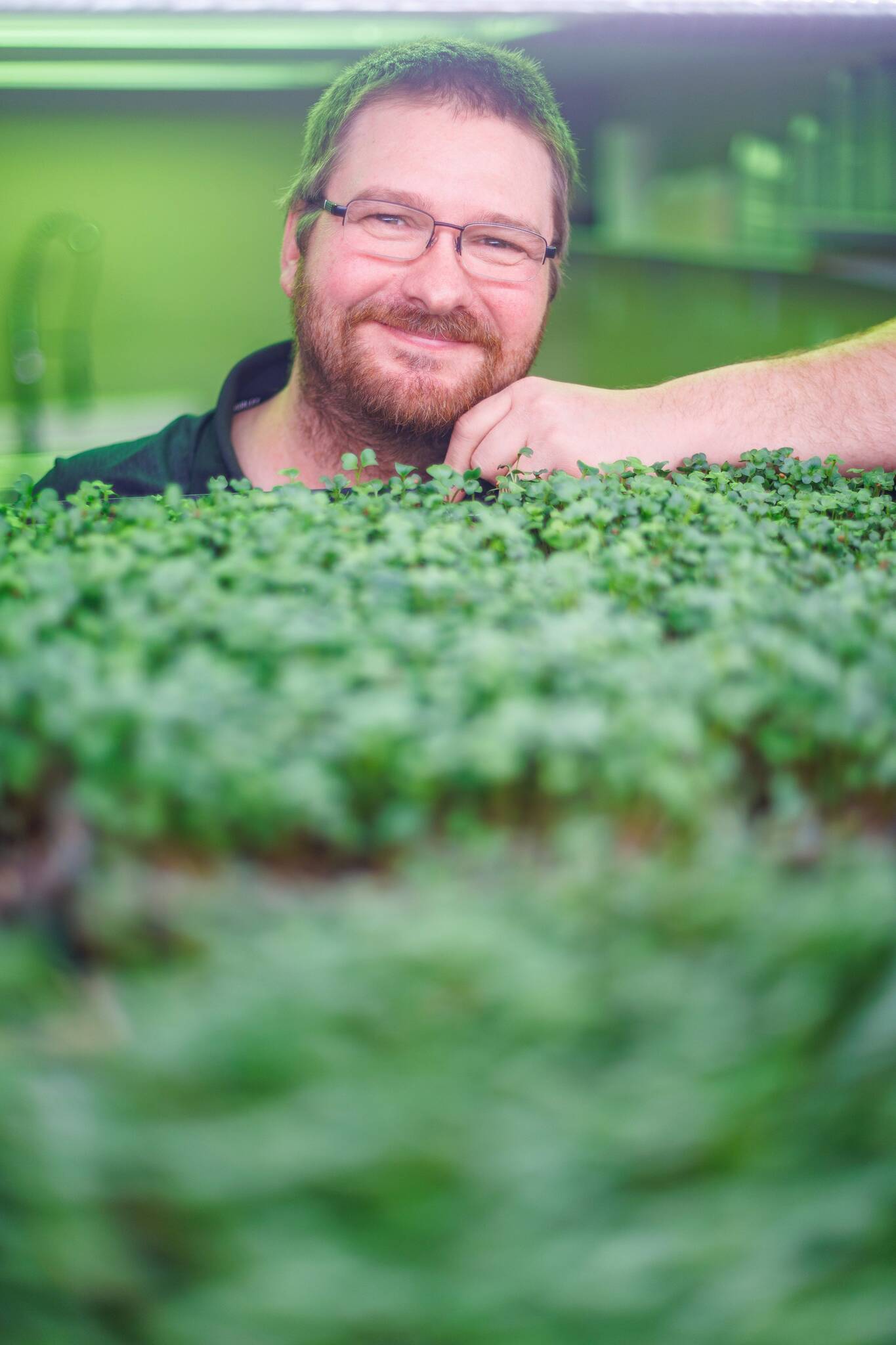 Microgreen Farmer Shifts To Phosphorus Capture