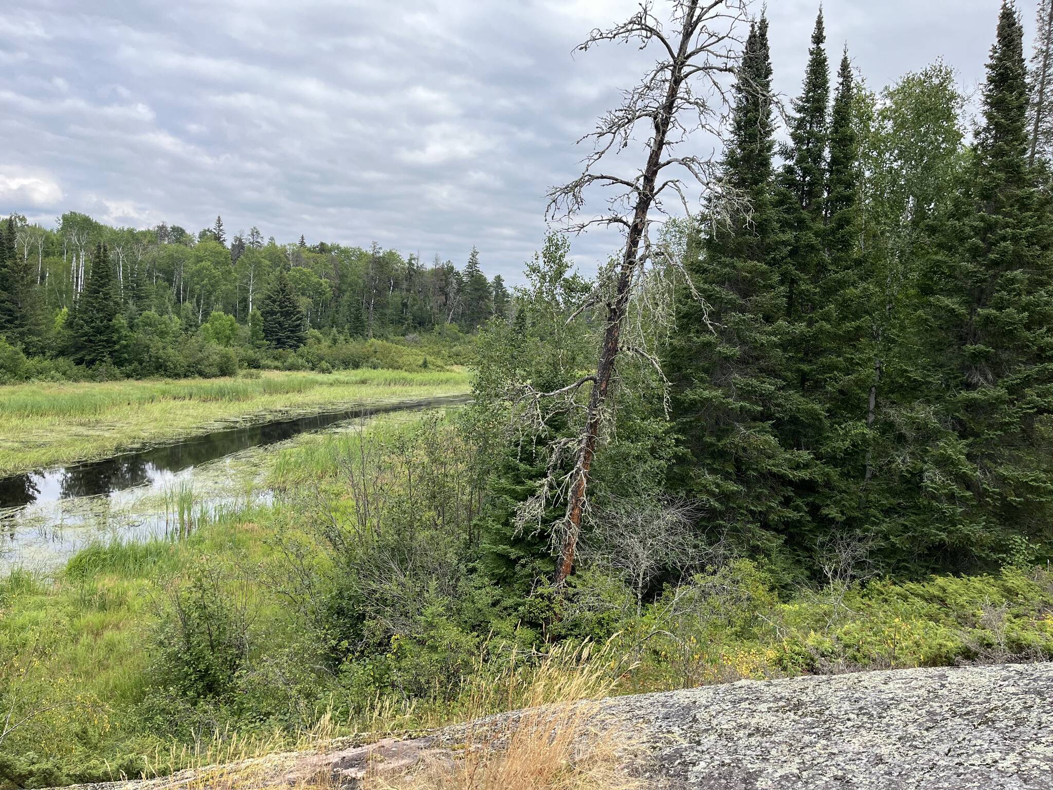 A budget that protects Manitoba’s future