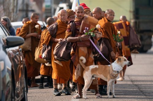 Buddhist monks who are participating in the, 