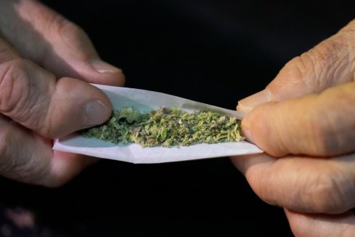 Miguel Laboy rolls a joint Friday, Nov. 14, 2025, in Brookline, Mass. (AP Photo/Robert F. Bukaty)