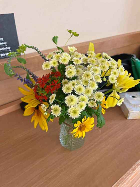 Orinico Feverfew