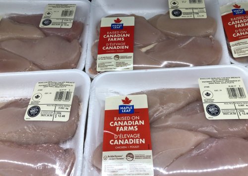 Packages of Maple Leaf Foods chicken breasts are shown on a shelf at a grocery store in Oakville, Ont., Friday, Jan. 6, 2023. THE CANADIAN PRESS/Richard Buchan