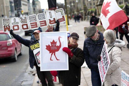 A person participates in a protest against the Canadian Food Inspection Agency and perceived government overreach, in response to the cull of ostriches at a B.C. farm, on Parliament Hill in Ottawa, on Saturday, Nov. 22, 2025. THE CANADIAN PRESS/Justin Tang