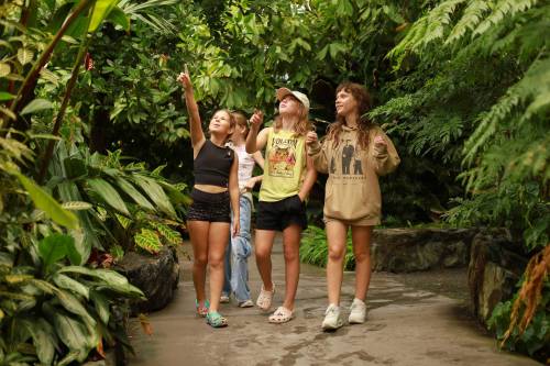 SUPPLIED

Campers at the Leaf will explore the biomes and get outside at Assiniboine Park.