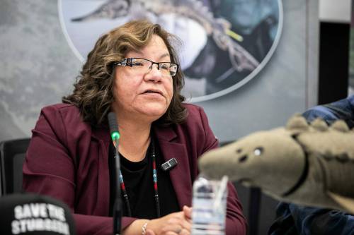 MIKAELA MACKENZIE / FREE PRESS
                                Tataskweyak Cree Nation Chief Doreen Spence speaks at a news conference about Manitoba Hydro&rsquo;s negative impact on sturgeon in the Churchill River on Jan. 22.