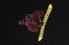Canada's Mark McMorris practices during a snowboard big air training session at the 2026 Winter Olympics, in Livigno, Italy, Wednesday, Feb. 4, 2026. (AP Photo/Lindsey Wasson)