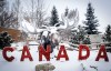 A snow-covered moose sculpture welcomes visitors to the Calgary zoo as temperatures dip below -25 C during a provincewide deep freeze in Calgary on Monday, Feb. 3, 2025. THE CANADIAN PRESS/Jeff McIntosh