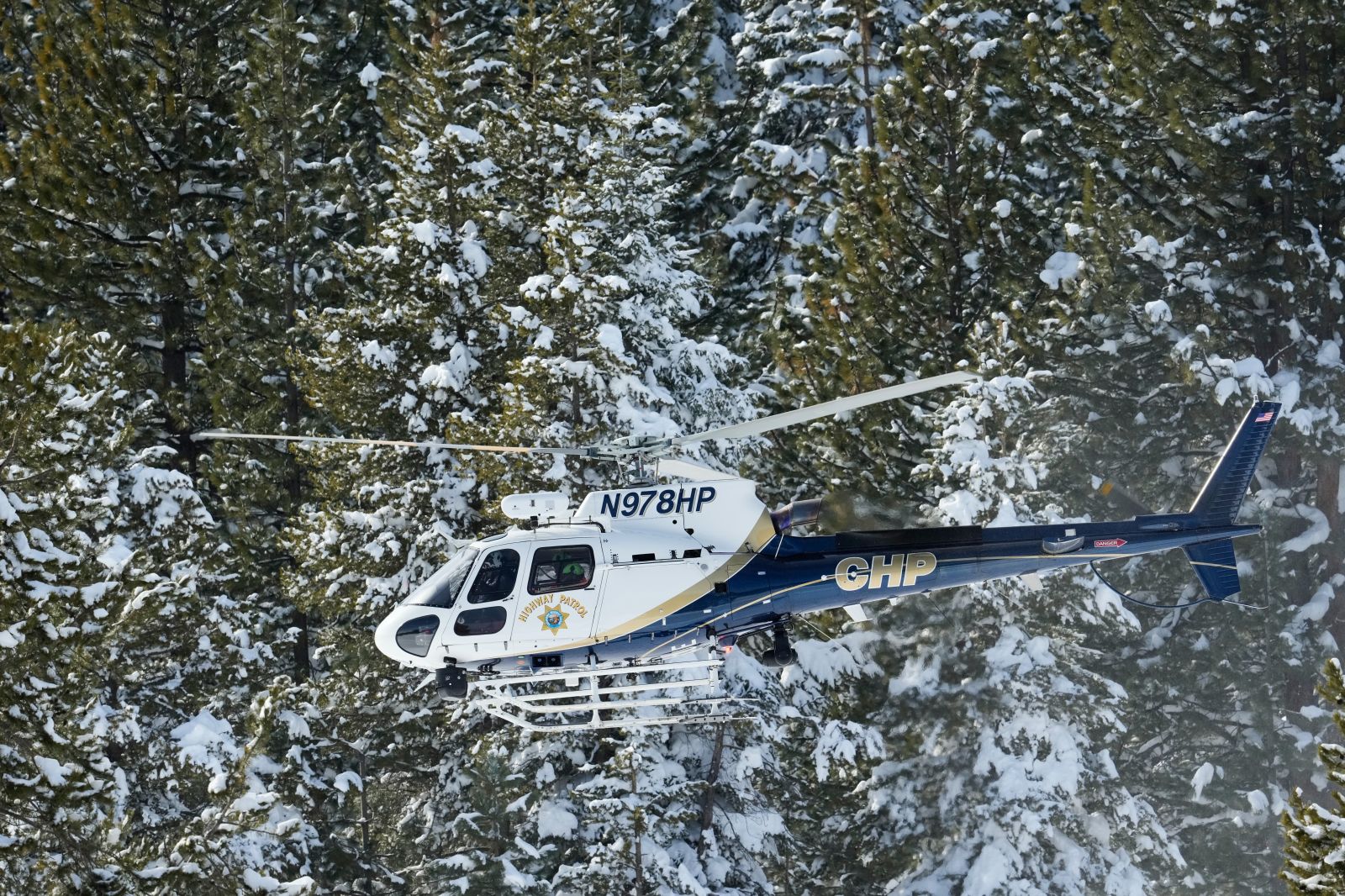 Father and son arrested after holding two federal workers hostage in northern California forest