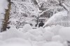 A groundskeeper clears snow from the walkways inside the Trinity Church graveyard in lower Manhattan during a snow storm, Monday, Feb. 23, 2026, in New York. (AP Photo/Seth Wenig)