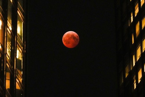 FILE - A total lunar eclipse, known as the blood moon, is visible between skyscrapers Friday, March 14, 2025, in downtown Chicago. (AP Photo/Kiichiro Sato)