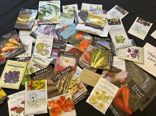 A collection of seed packets are displayed on a table on Long Island, N.Y., on Jan. 14, 2025. (Jessica Damiano via AP)