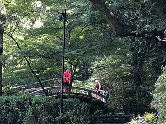Iconic garden bridge in Japan (France Barrette photo)