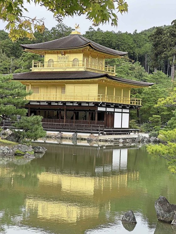 Japan, Golden Pavilion (Maurine Kiyoko Ulrich photo)