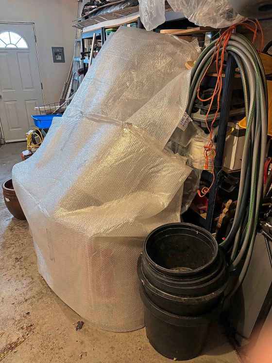 Overwintering non-hardy plants in bubble wrap (John Leperre photo)