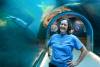 RUTH BONNEVILLE / FREE PRESS
                                VOLUNTEER Photo of Janice Martin, a volunteer at the Assiniboine Park Zoo, in the Journey to the Arctic exhibit as zeals swim around her Tuesday. Janice Martin&rsquo;s entire career has been at Assiniboine Park Zoo. She started there as an 18yo, picking up summer shifts at Aunt Sally&rsquo;s Farm in 1976. After graduating from the U of M with a degree in zoology, she worked at the zoo until she retired from her position as Assiniboine Park Zoo&rsquo;s animal care curator in 2023. Now, she volunteers 3 days a week in various positions at the zoo. Story: Volunteers column - AV Kitching March 10th,, 2026