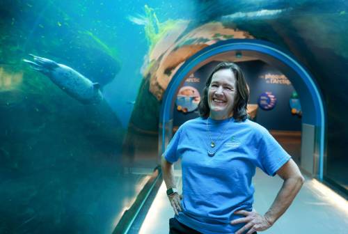 RUTH BONNEVILLE / FREE PRESS
                                VOLUNTEER Photo of Janice Martin, a volunteer at the Assiniboine Park Zoo, in the Journey to the Arctic exhibit as zeals swim around her Tuesday. Janice Martin&rsquo;s entire career has been at Assiniboine Park Zoo. She started there as an 18yo, picking up summer shifts at Aunt Sally&rsquo;s Farm in 1976. After graduating from the U of M with a degree in zoology, she worked at the zoo until she retired from her position as Assiniboine Park Zoo&rsquo;s animal care curator in 2023. Now, she volunteers 3 days a week in various positions at the zoo. Story: Volunteers column - AV Kitching March 10th,, 2026