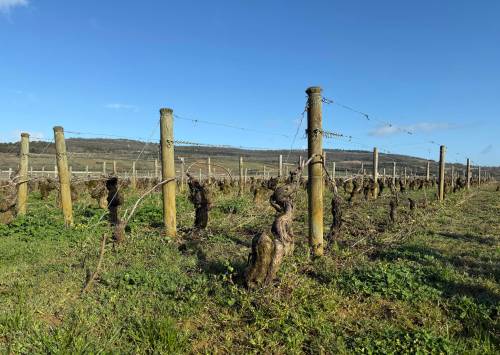 STEVE MACNAULL / FREE PRESS
                                Most of Burgundy is a patchwork of vineyards.