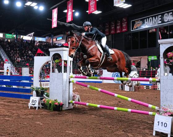 Manitoba’s public health officials are concerned the Royal Manitoba Winter Fair in Brandon could push the number of measles cases much higher. (Weichen Zhang / Brandon Sun files)