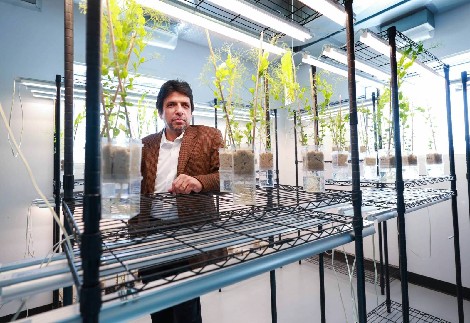 winnipegfreepress.com - Aaron Epp - After 15 years of building North American brand, Winnipeg-based XiteBio Technologies Inc. eyes overseas markets