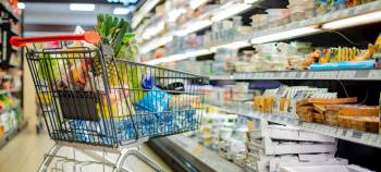 File
                                A shopping cart with grocery products