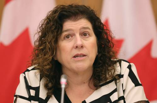 Patrick Doyle / The Canadian Press FILES
                                Federal Auditor General Karen Hogan