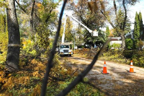 RUTH BONNEVILLE / FREE PRESS FILES
                                Local - Tree Cleanup City of Winnipeg workers clean up the broken tree branches that line the boulevards along Mathers Bay West in south River Heights on Thursday. A winter storm that pounded the city last weekend broke off many trees and branches throughout the city with the weight of the heavy, wet snow freezing onto the branches. See Maggie&rsquo;s story on cleanup. Oct 17h, 2019