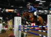 Piet Van Genugten and Martini clear a jump during the show.