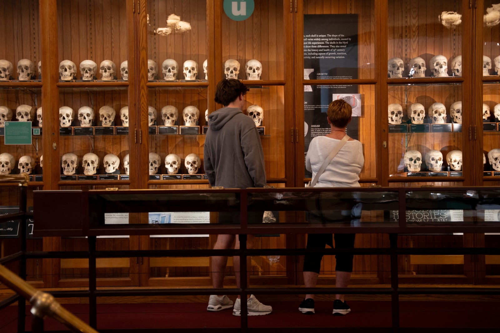 Canadian Museum for Human Rights Opens Nakba Exhibit