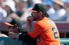 San Francisco Giants' Tony Vitello watches the action on the field during the second inning of a spring training baseball game against the Los Angeles Dodgers Friday, Feb. 27, 2026, in Scottsdale, Ariz. (AP Photo/Ross D. Franklin)