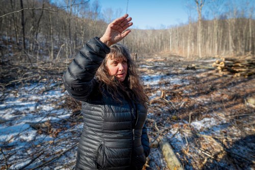 Tracey Forest, the owner of a silent retreat call Spirit Hollow, describes relocating her business during logging of the Green Mountain Forest, Dec. 22, 2025, in Shaftsbury, Vt. (Glenn Russell/VTDigger via AP)