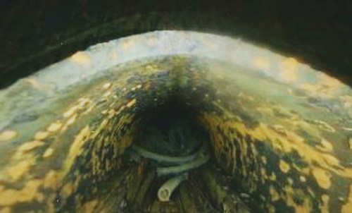 This image provided by Tokyo Electric Power Holdings Company shows inside the Unit 3 reactor at the Fukushima Daiichi nuclear power plant in Okuma, northeastern Japan, March 9, 2026. (TEPCO via AP)