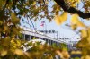 The Lewiston-Queenston Bridge connecting Niagara Falls, Ont. and Niagara Falls, N.Y. photographed on Monday, Nov. 8, 2021.  THE CANADIAN PRESS/ Tijana Martin