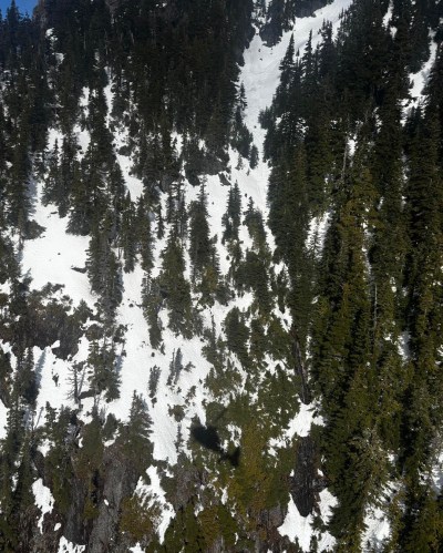A handout photo from North Shore Rescue shows the site where two hikers among a group of 14 had to be rescued and hospitalized after falling in snowy conditions on Mount Brunswick. The BC Coroners Service confirms one of the hikers has since died of his injuries. THE CANADIAN PRESS/Handout-North Shore Rescue (Mandatory Credit)