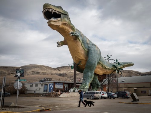 Tyra the Tyrannosaurus, the lovable landmark that towers over the Drumheller skyline in the heart of the Canadian Badlands, is facing an extinction-level event and is pictured in Drumheller, Alta., Tuesday, April 1, 2025.THE CANADIAN PRESS/Jeff McIntosh