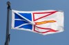 Newfoundland & Labrador's provincial flag flies on a flagpole in Ottawa, Monday, July 6, 2020. THE CANADIAN PRESS/Adrian Wyld