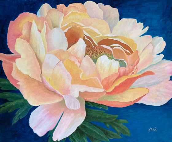 Painting of a garden peony in acrylics (Supplied / Anne Toth)