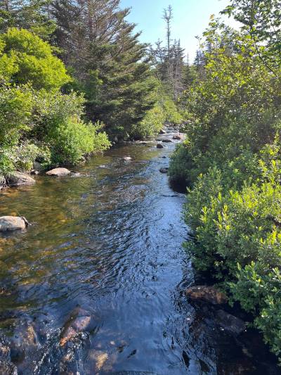 RUSSELL WANGERSKY / FREE PRESS
                                Small brook near Broad Cove, N.L.