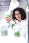 Ruth Bonneville Free Press BIZ - GeneNeer Photo of Kinneret Shefer CEO of GeneNeer Canada, in lab at Albrechtsen Research Centre. This is for a biz article by Aaron April 8th, 2026