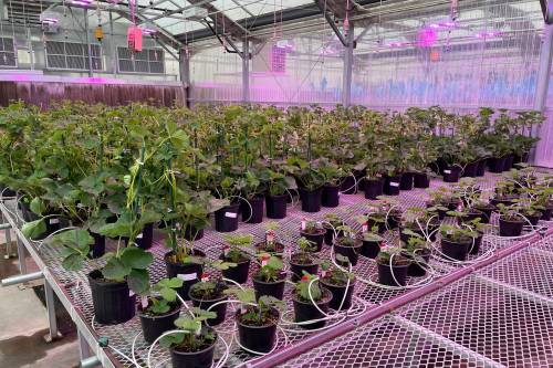 Food safety, security concerns evergreen