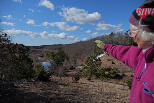 Glorianna Davenport, founder of the Living Observatory, overlooks a stream cutting through Tidmarsh Wildlife Sanctuary in Plymouth, Mass., Saturday, March 14, 2026. (Julia Vaz via AP)